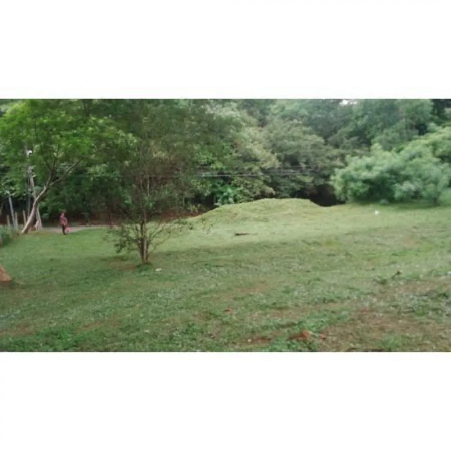 VENTA DE LOTE, ALAJUELA, OROTINA, COYOLAR  - Venta en Orotina