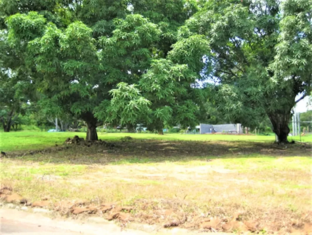 LOT FOR SALE IN OROTINA NEAR BEAUTIFUL BEACHES (PO 1142)