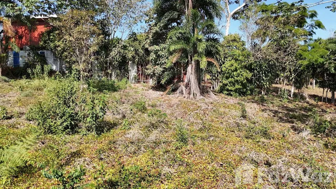Land for Sale in Perez Zeledon, San Jose for $100,000, photo 11
