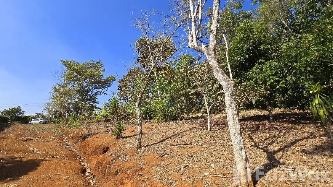 Land for Sale in Perez Zeledon, San Jose for $100,000, photo 12