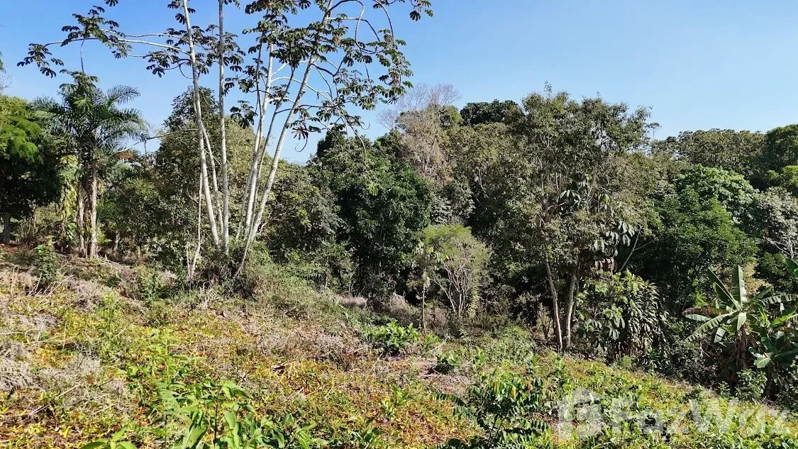 Land for Sale in Perez Zeledon, San Jose for $100,000, photo 13