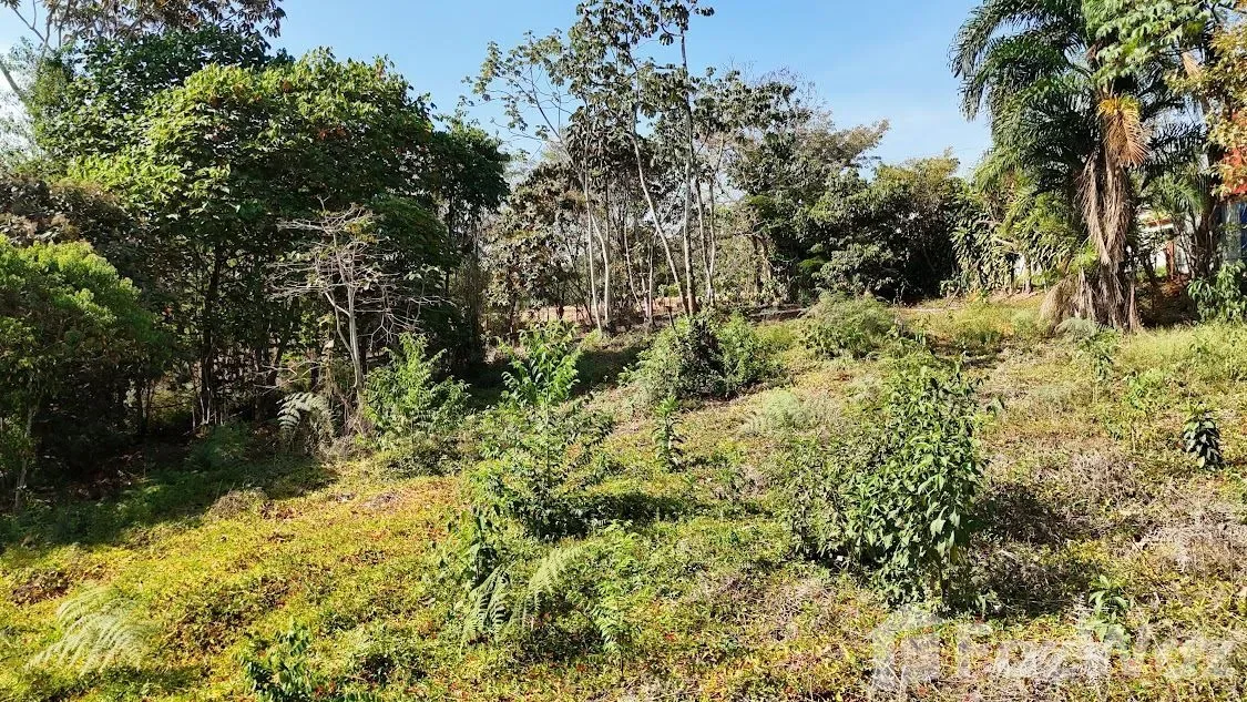 Land for Sale in Perez Zeledon, San Jose for $100,000, photo 14