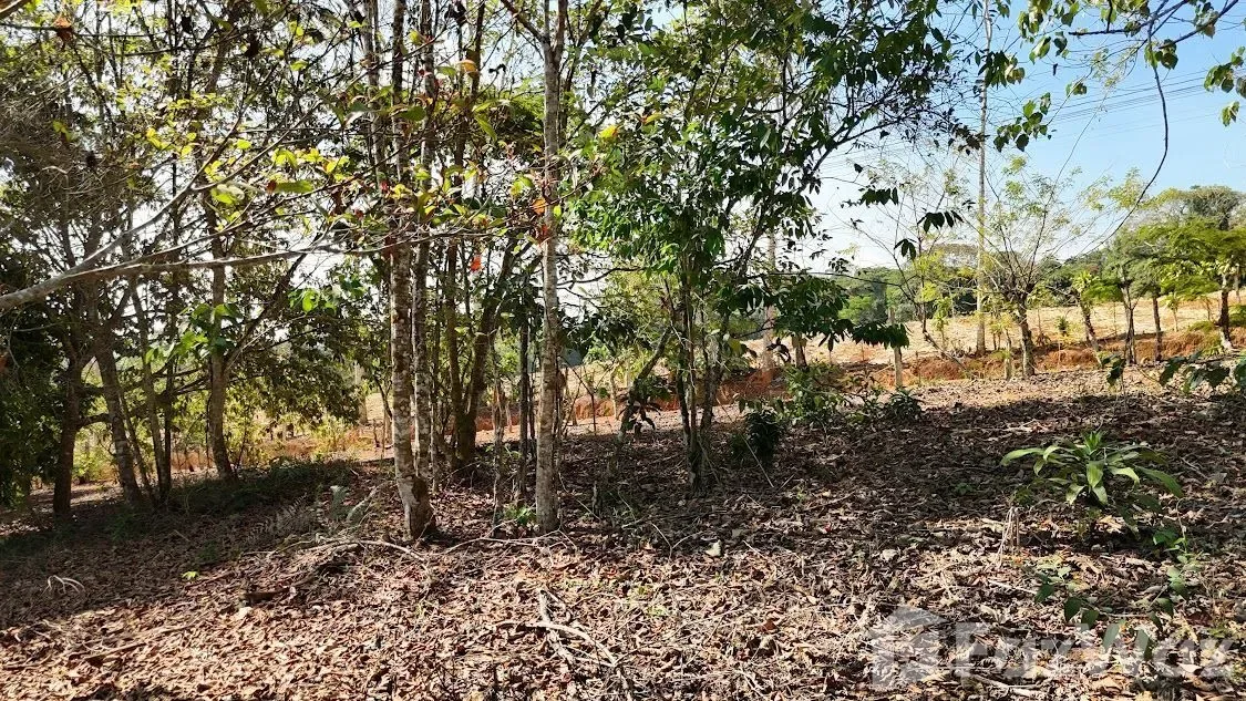 Land for Sale in Perez Zeledon, San Jose for $100,000, photo 15