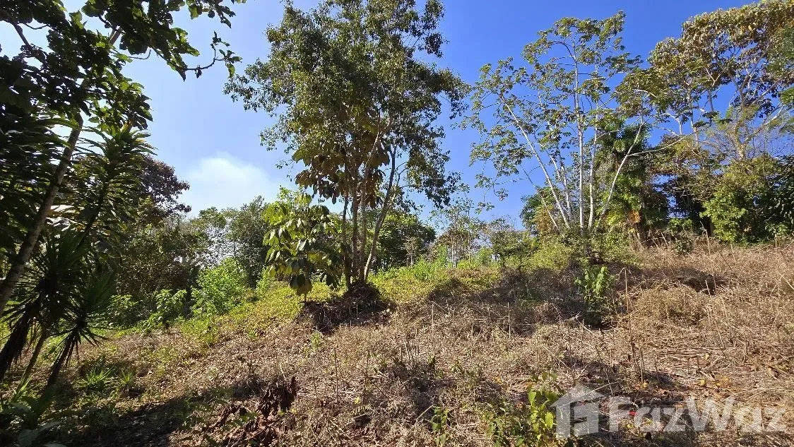 Land for Sale in Perez Zeledon, San Jose for $100,000, photo 6
