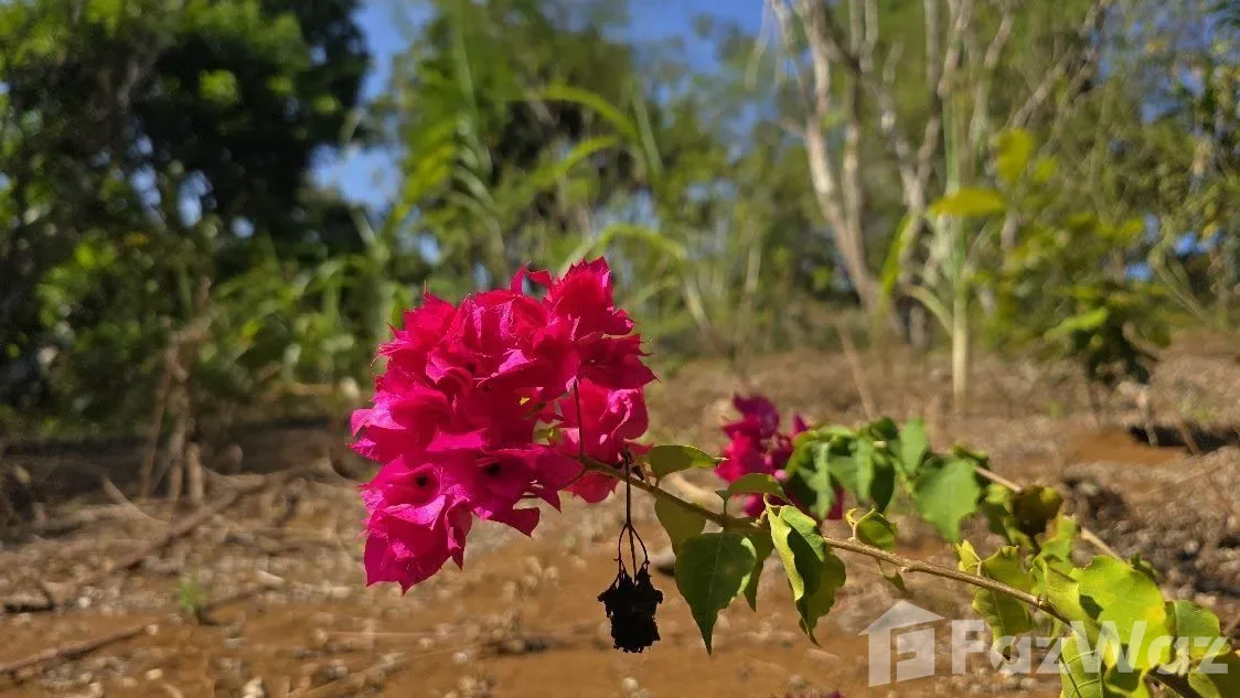 Land for Sale in Perez Zeledon, San Jose for $100,000, photo 8