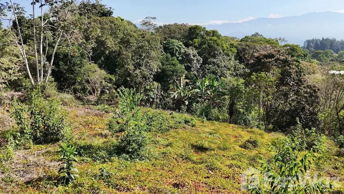 Land for Sale in Perez Zeledon, San Jose for $100,000, photo 10