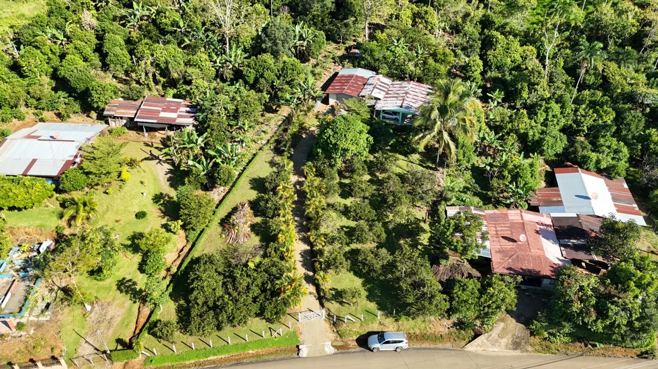 Unlock The Potential Of This Charming Property With Organic Farming Opportunities In San Pedrito De Cajón, Pérez Zeledón, photo 7