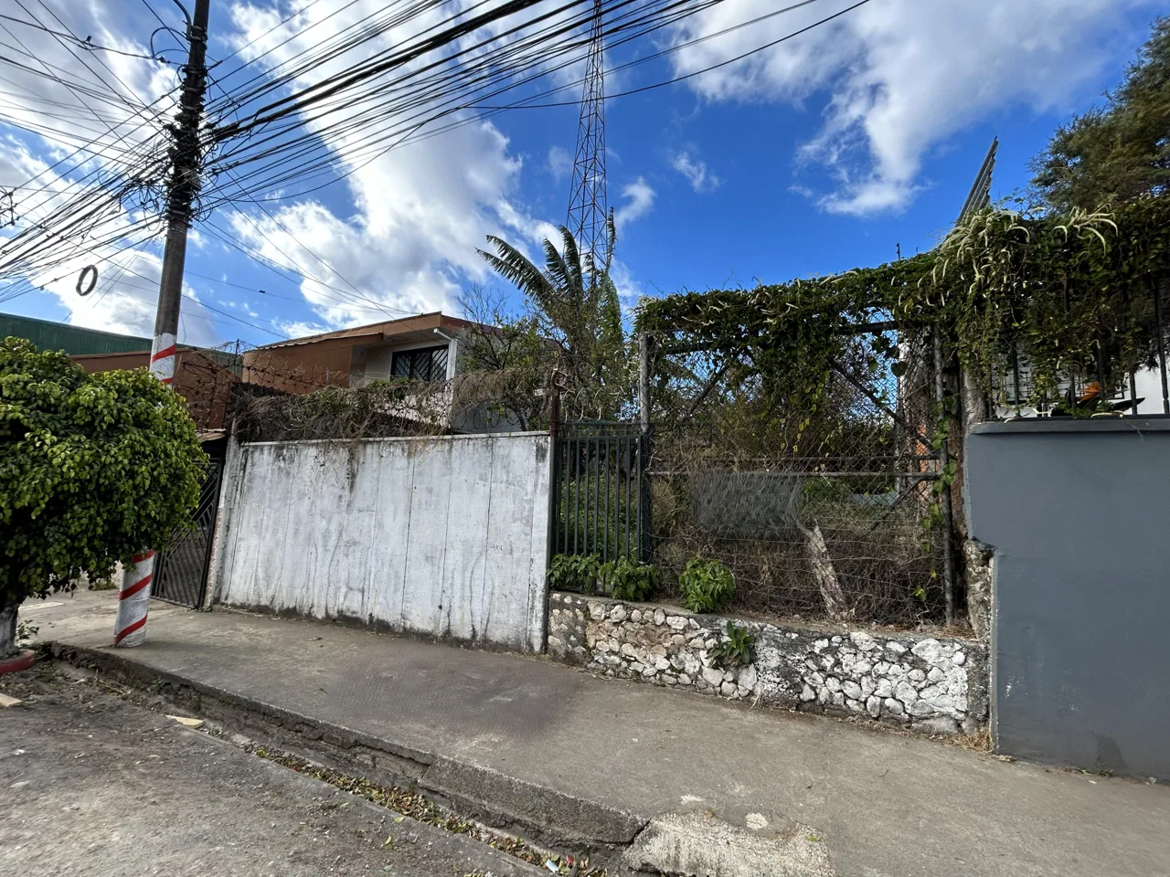 LOTE Independiente en San Francisco de Goicoechea, photo 2
