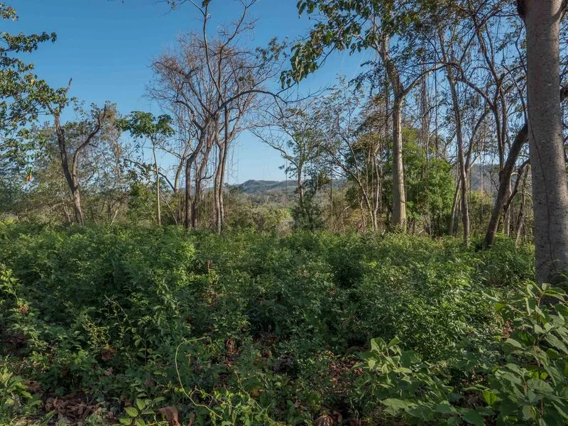 Land For Sale in Nosara, photo 11