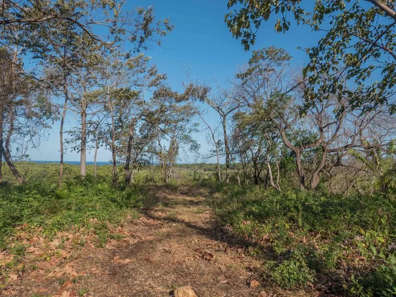 Land For Sale in Nosara, photo 12