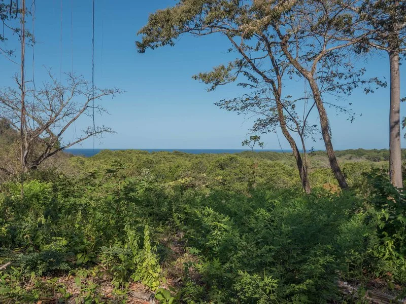 Land For Sale in Nosara, photo 14