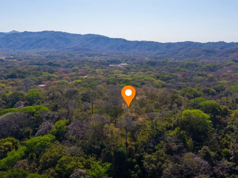 Land For Sale in Nosara, photo 3