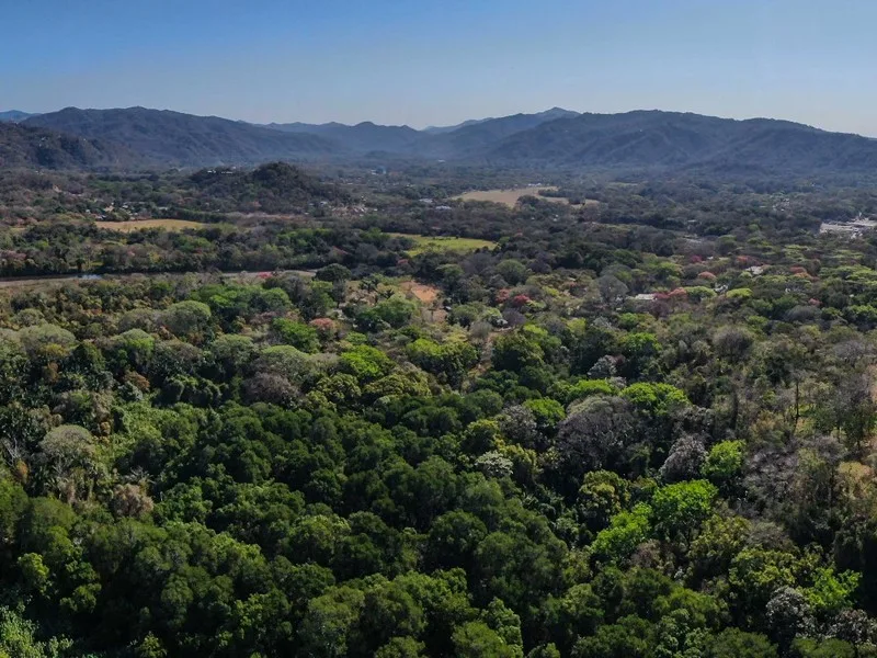 Land For Sale in Nosara, photo 4