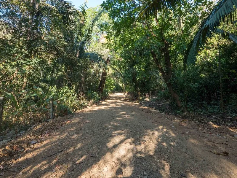 Land For Sale in Nosara, photo 6