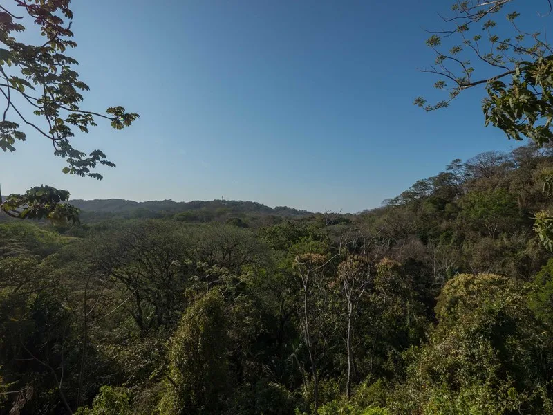 Land For Sale in Nosara, photo 8