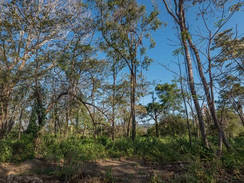 Land For Sale in Nosara, photo 9