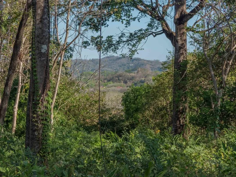 Land For Sale in Nosara, photo 10