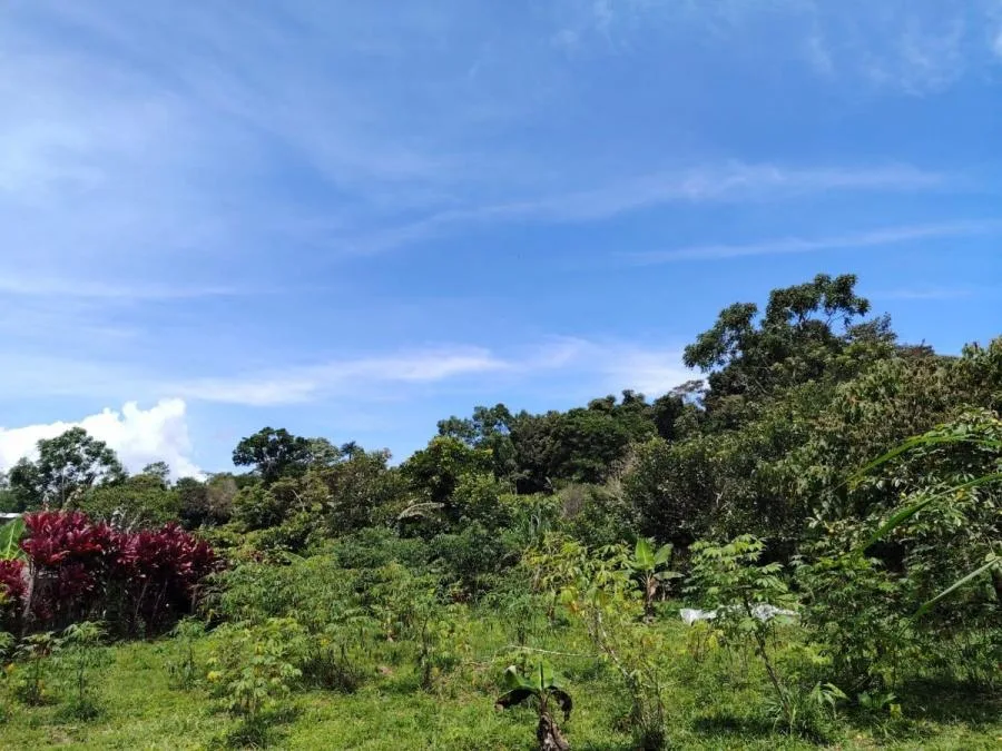 TERRENO EN VENTA EN COSTA RICA PRIVADO Y CON CLIMA IDEAL - Venta en Perez Zeledón, photo 11