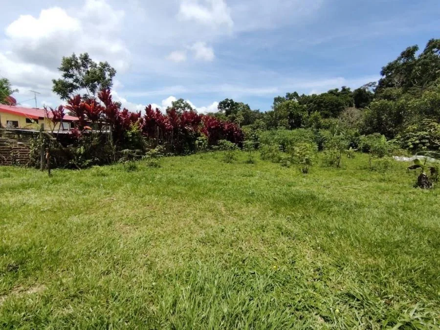 TERRENO EN VENTA EN COSTA RICA PRIVADO Y CON CLIMA IDEAL - Venta en Perez Zeledón, photo 7