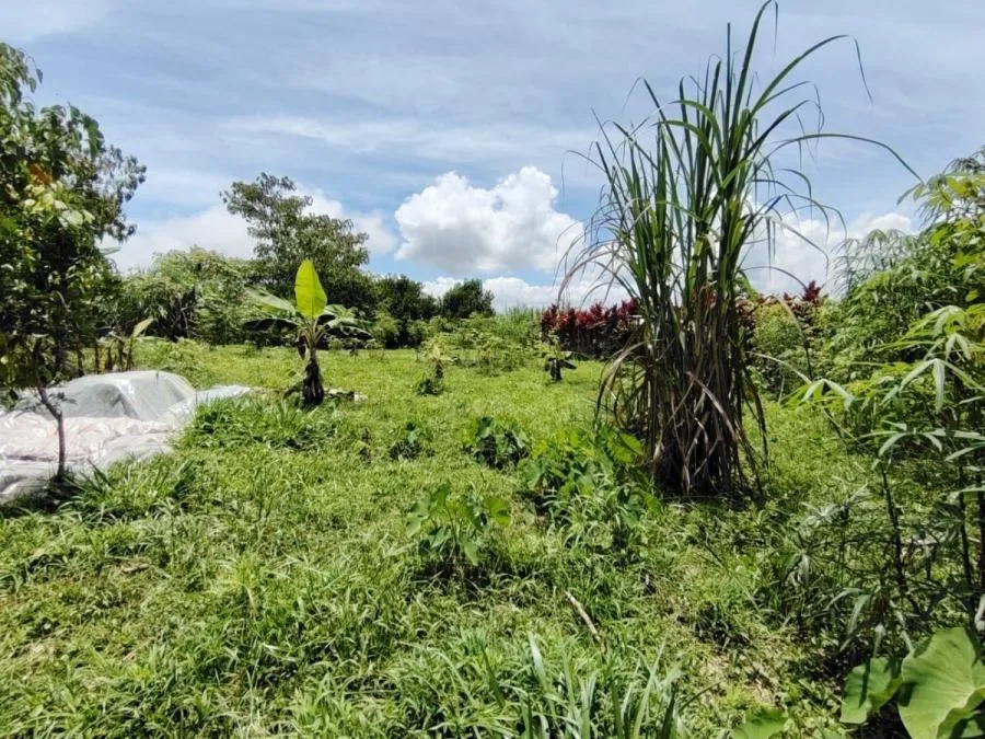 TERRENO EN VENTA EN COSTA RICA PRIVADO Y CON CLIMA IDEAL - Venta en Perez Zeledón, photo 10