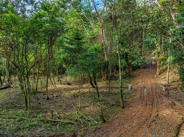 Rare 86-Acre Ocean View Estate Bordering Hacienda Barú – A Unique Opportunity for Conservation and Development