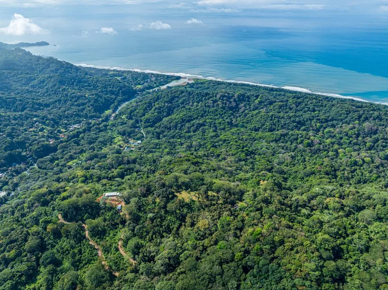 Rare 86-Acre Ocean View Estate Bordering Hacienda Barú – A Unique Opportunity for Conservation and Development, photo 2