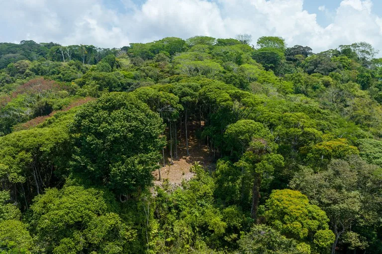 Rare 86-Acre Ocean View Estate Bordering Hacienda Barú – A Unique Opportunity for Conservation and Development, photo 5
