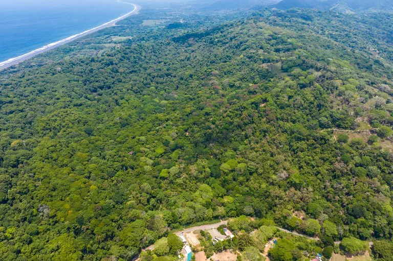 Rare 86-Acre Ocean View Estate Bordering Hacienda Barú – A Unique Opportunity for Conservation and Development, photo 7
