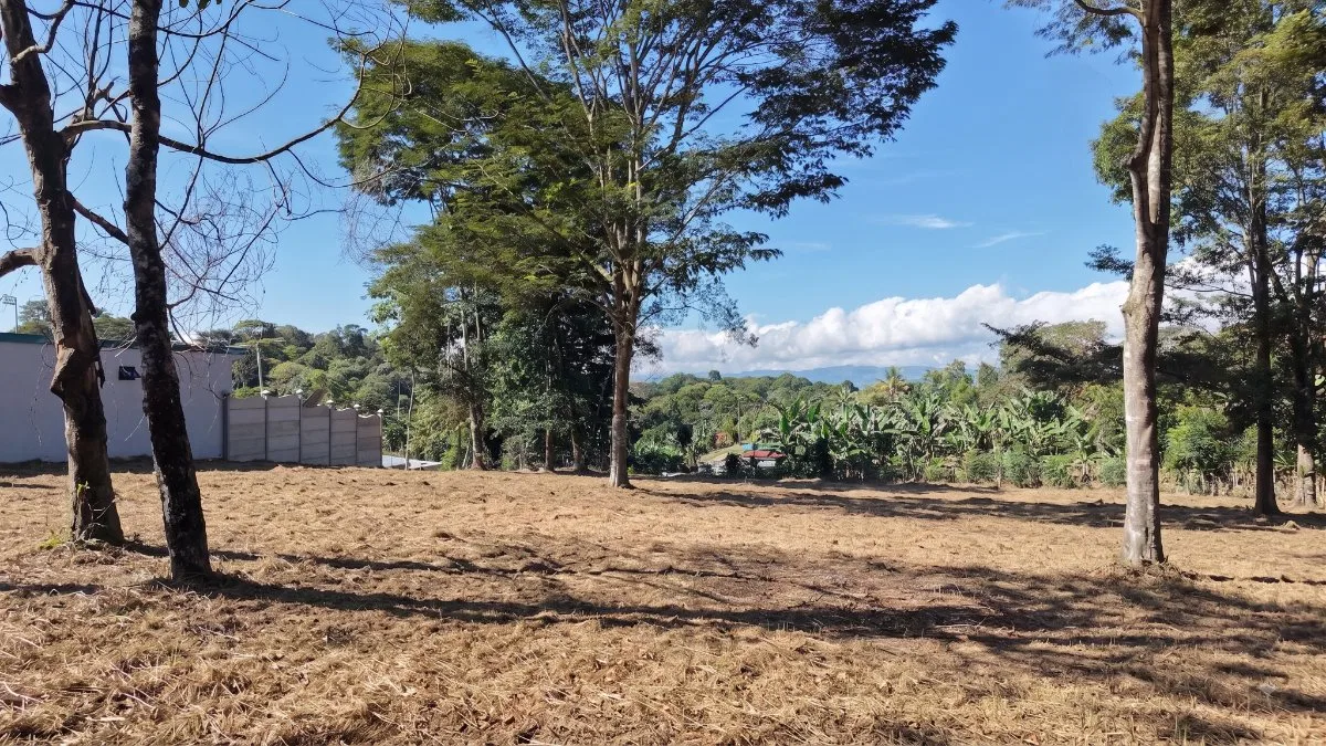 SE VENDE TERRENO PLANO Y LISTO PARA CONSTRUIR CON UBICACION ESTRATEGICA - Venta en Pérez Zeledón, photo 2