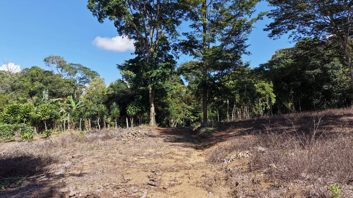 SE VENDE TERRENO PLANO Y LISTO PARA CONSTRUIR CON UBICACION ESTRATEGICA - Venta en Pérez Zeledón, photo 3