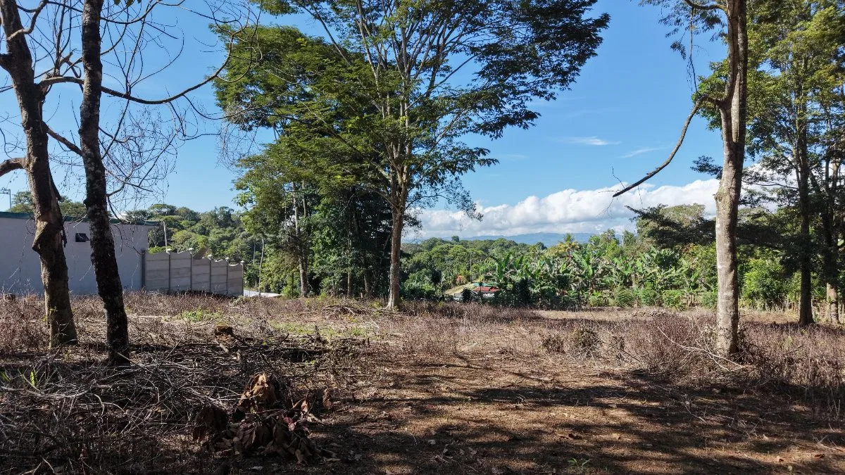 SE VENDE TERRENO PLANO Y LISTO PARA CONSTRUIR CON UBICACION ESTRATEGICA - Venta en Pérez Zeledón, photo 4