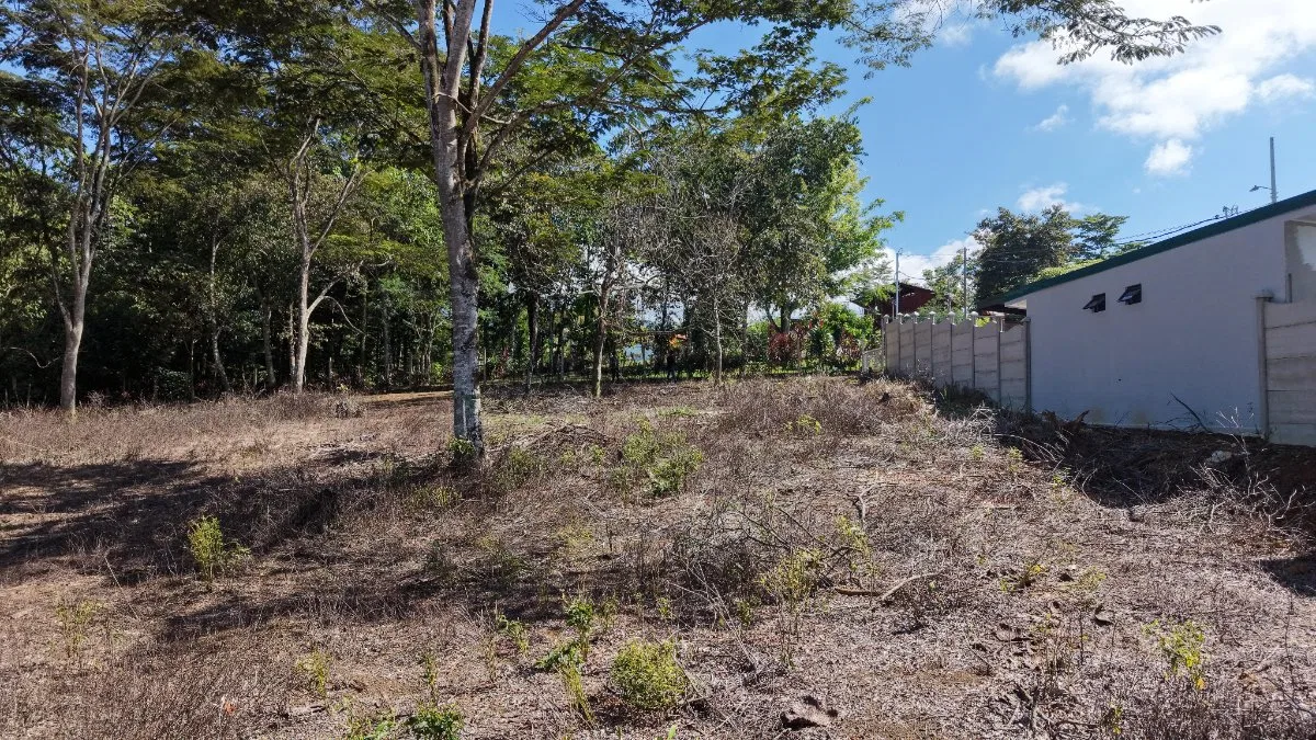 SE VENDE TERRENO PLANO Y LISTO PARA CONSTRUIR CON UBICACION ESTRATEGICA - Venta en Pérez Zeledón, photo 6