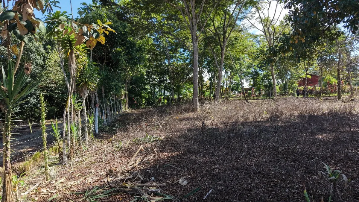 SE VENDE TERRENO PLANO Y LISTO PARA CONSTRUIR CON UBICACION ESTRATEGICA - Venta en Pérez Zeledón, photo 7