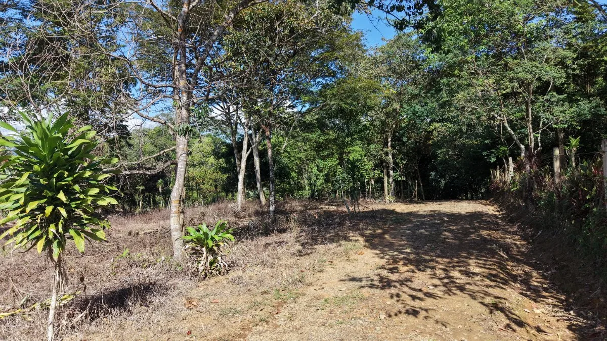 SE VENDE TERRENO PLANO Y LISTO PARA CONSTRUIR CON UBICACION ESTRATEGICA - Venta en Pérez Zeledón, photo 8