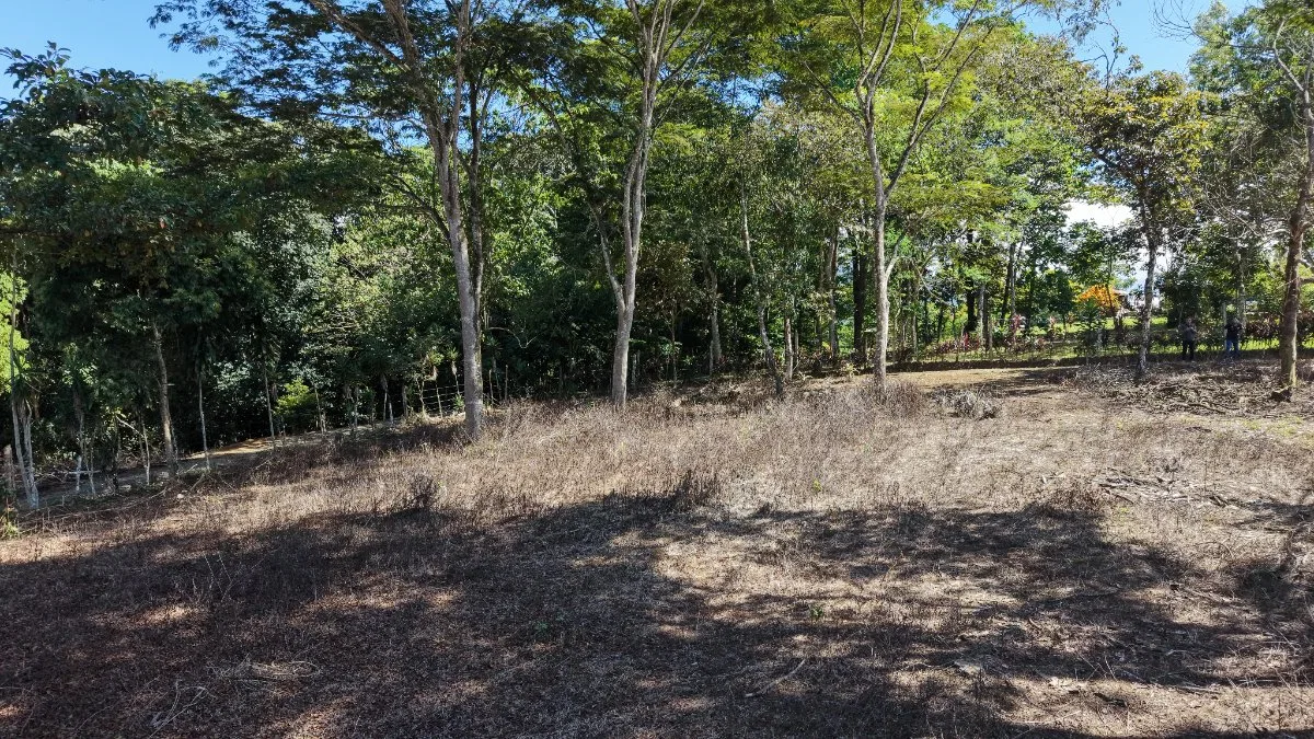 SE VENDE TERRENO PLANO Y LISTO PARA CONSTRUIR CON UBICACION ESTRATEGICA - Venta en Pérez Zeledón, photo 9