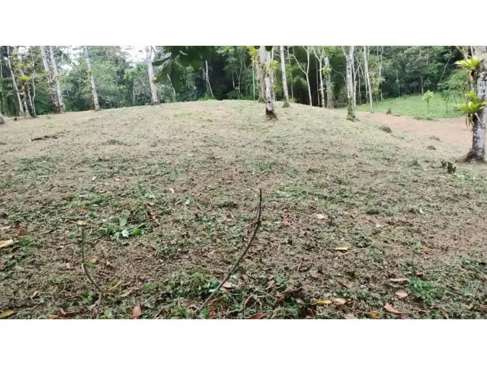 DESCRIPCION DETALLADA: finca de topografía plana, rodeada de naturaleza, con un lago ..., photo 2
