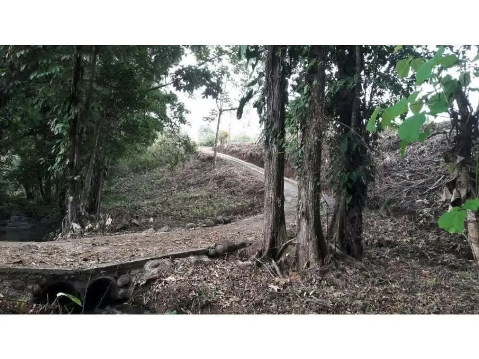 DESCRIPCION DETALLADA: finca de topografía plana, rodeada de naturaleza, con un lago ..., photo 3