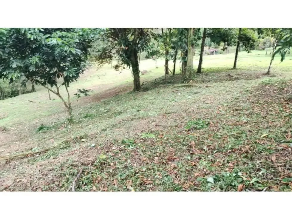 DESCRIPCION DETALLADA: finca de topografía plana, rodeada de naturaleza, con un lago ..., photo 4