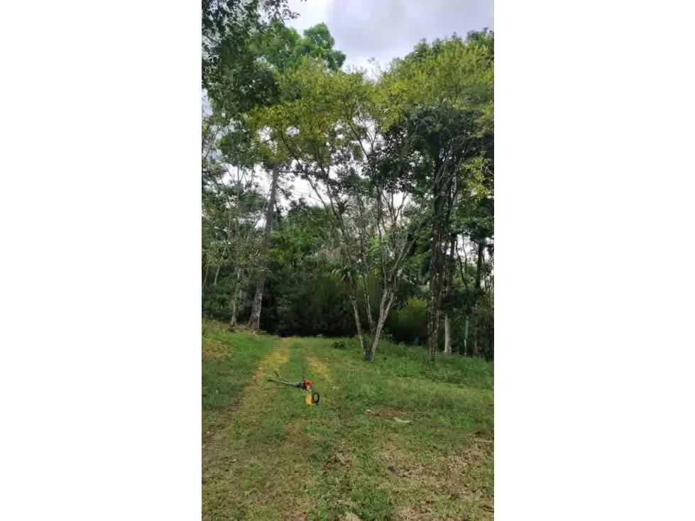 DESCRIPCION DETALLADA: finca de topografía plana, rodeada de naturaleza, con un lago ..., photo 5