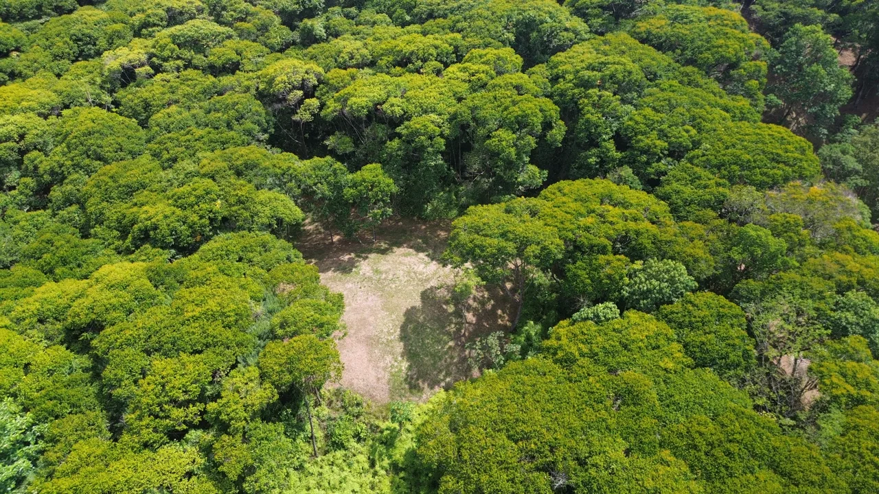 Tu Refugio Privado en la Jungla a Minutos de Dominical