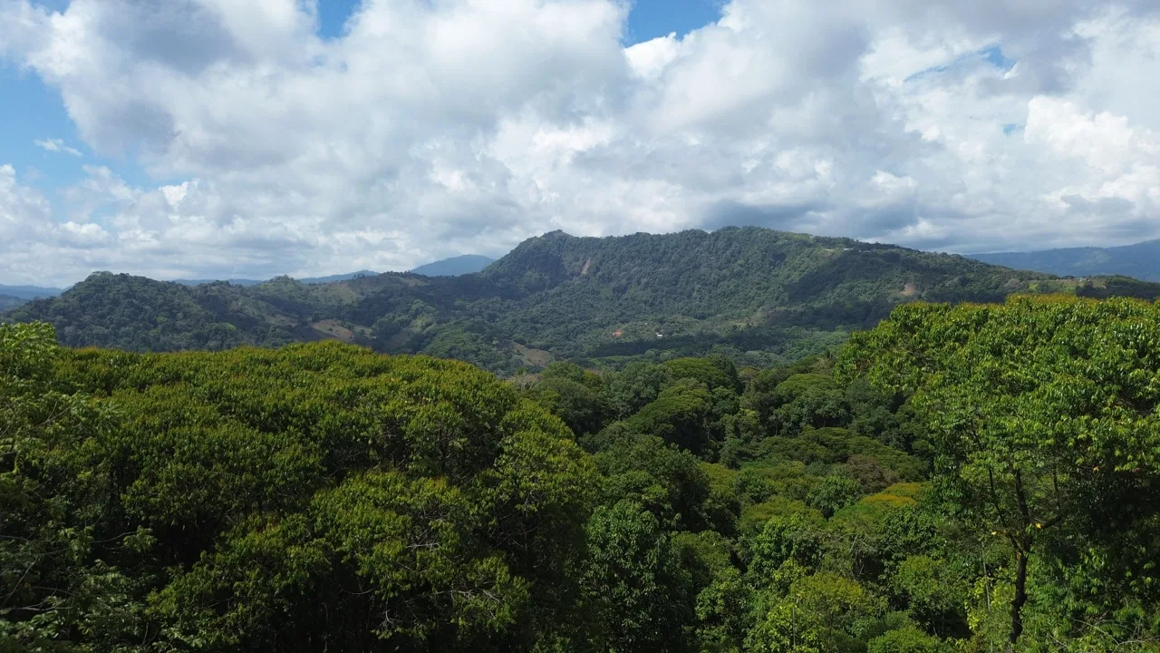 Tu Refugio Privado en la Jungla a Minutos de Dominical, photo 2