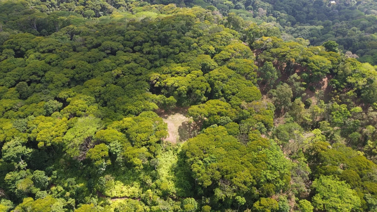 Tu Refugio Privado en la Jungla a Minutos de Dominical, photo 4