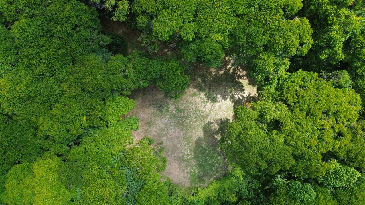 Tu Refugio Privado en la Jungla a Minutos de Dominical, photo 5
