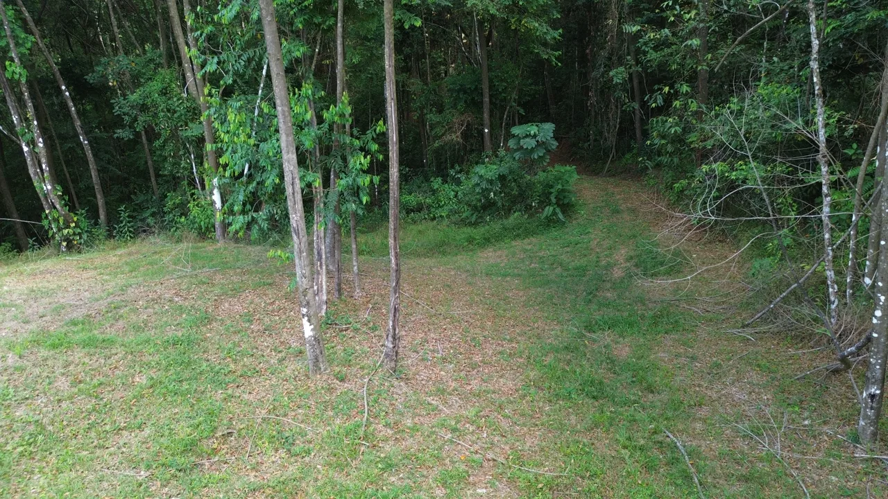 Tu Refugio Privado en la Jungla a Minutos de Dominical, photo 8
