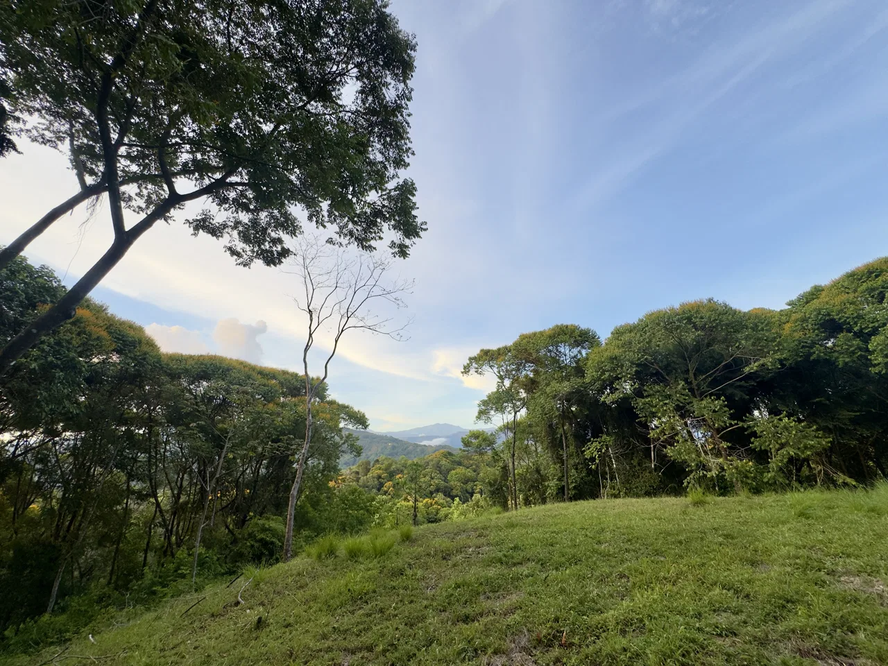 Tu Refugio Privado en la Jungla a Minutos de Dominical, photo 10