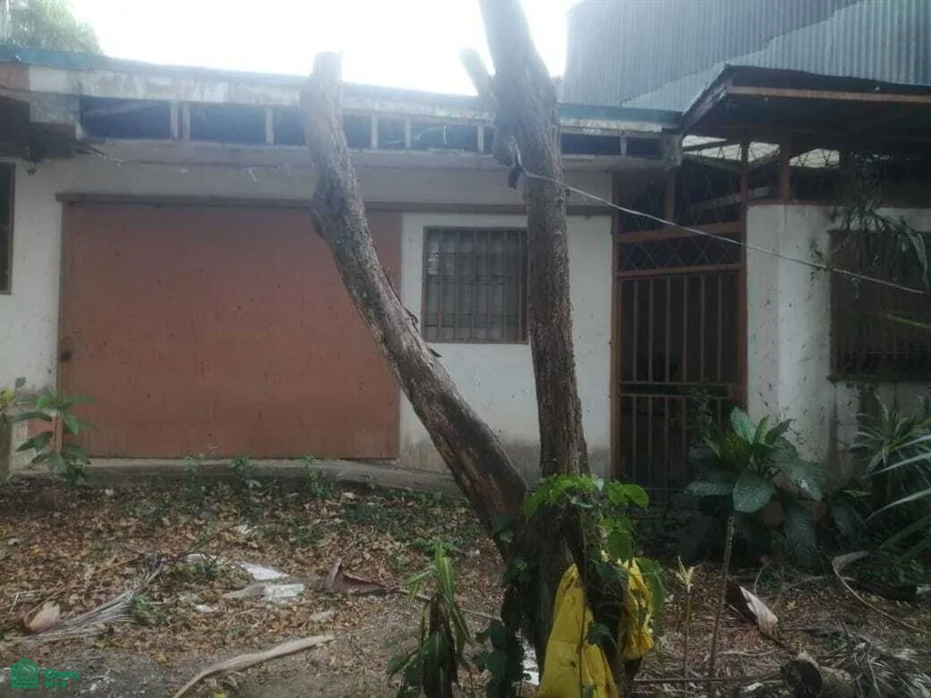 Desamparados San Jose