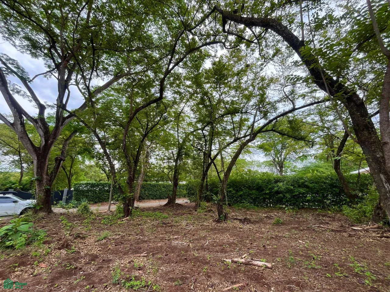Linderos Tamarindo Guanacaste, photo 3