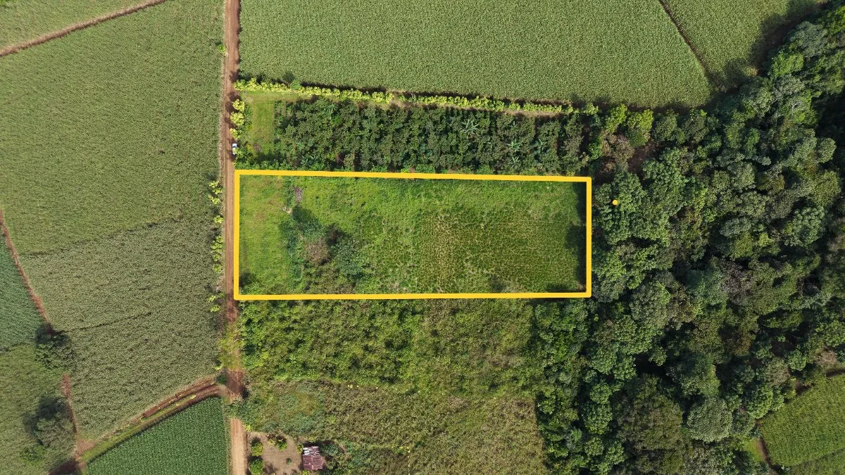 SE VENDE TERRENO LISTO PARA CONSTRUIR CON TOPOGRAFIA PLANA Y CERCA DE COMERCIOS - Venta en Pérez Zeledón