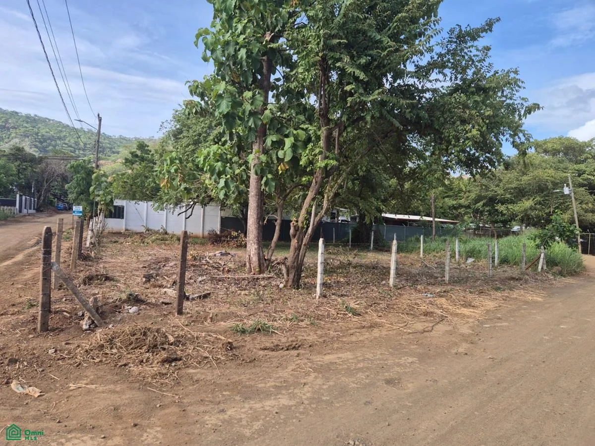Corner Lot In Monte Seco Playas Del Coco Guanacaste, photo 2