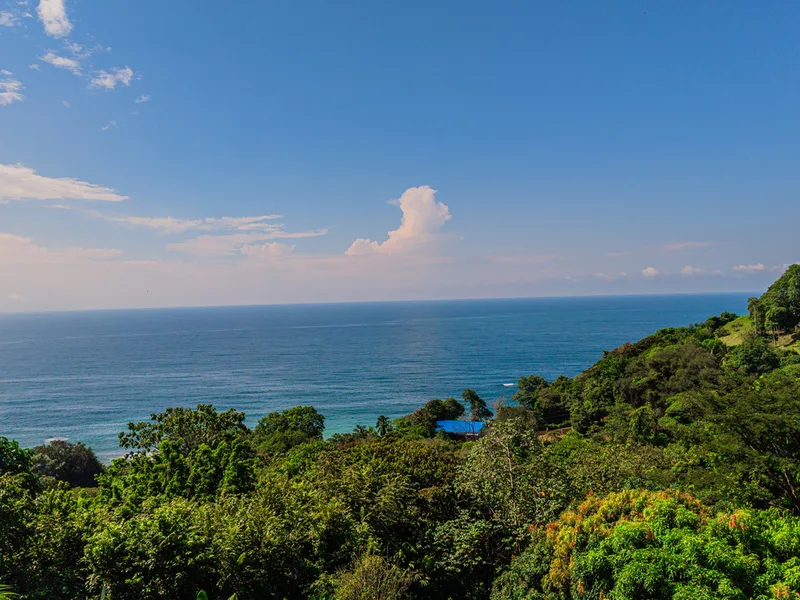 4 Bed Single Family Homes For Sale in Dominical, photo 6